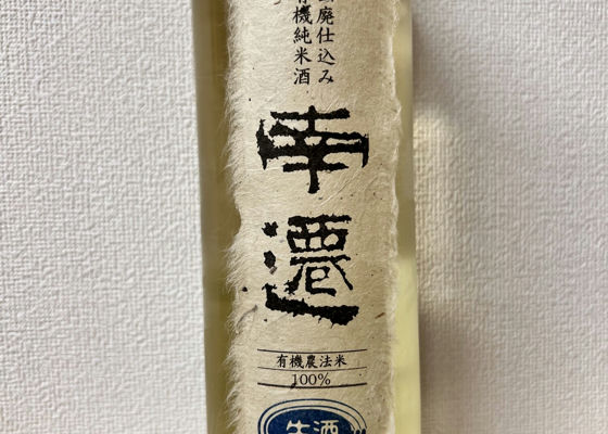 alt 1