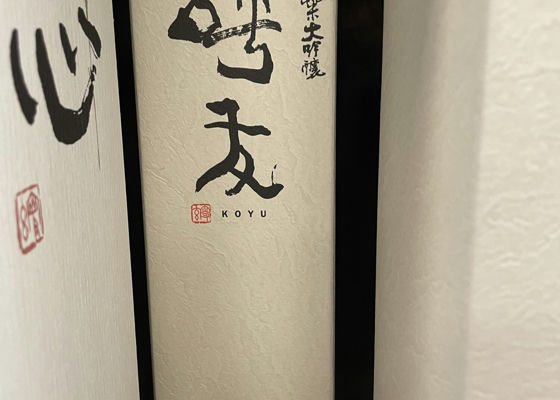 alt 1