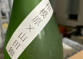 alt 3