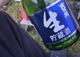 alt 1