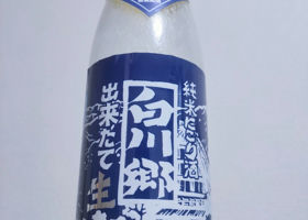 alt 1