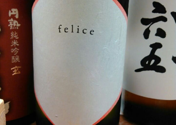 felice 签到 1