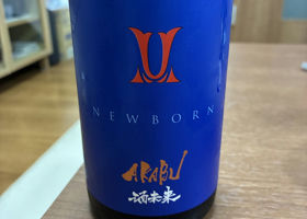 alt 1