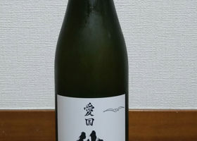 alt 1