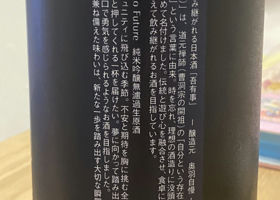 alt 3