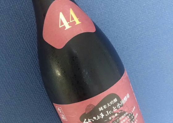 alt 1