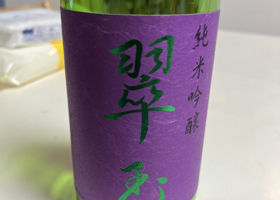 alt 1