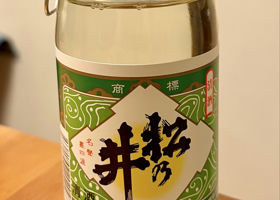 alt 1