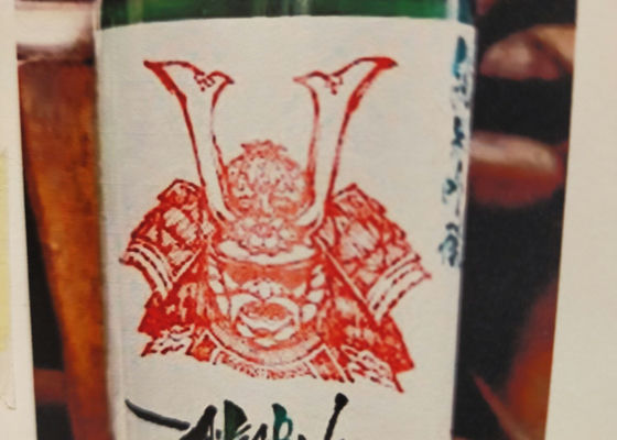 alt 1