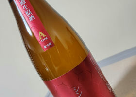 alt 3