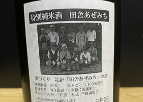 alt 3