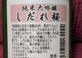 しだれ桜 チェックイン 3