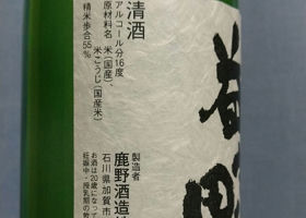 alt 3