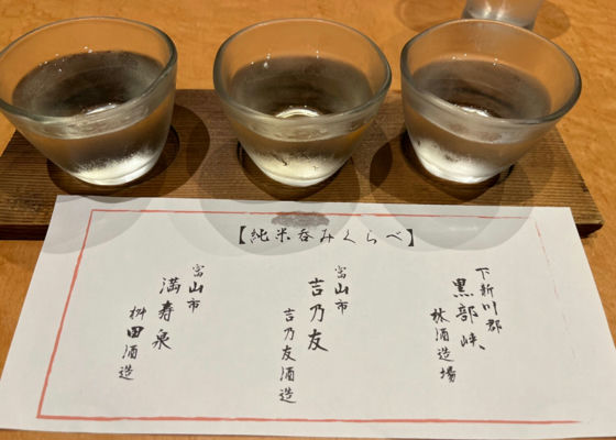 alt 1