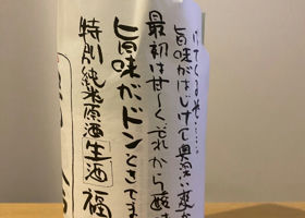alt 3