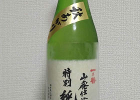 alt 1