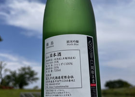 alt 3