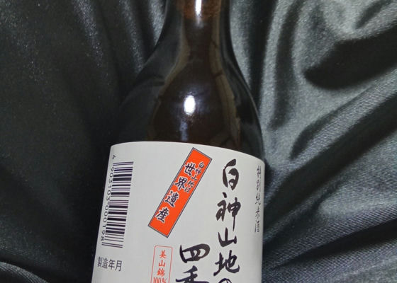 alt 1