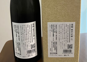 春霞 チェックイン 3
