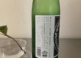 菊正宗 チェックイン 2