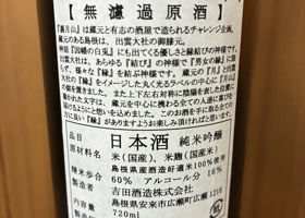 alt 3