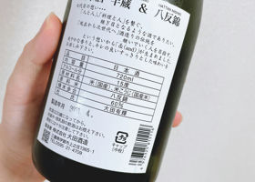 alt 2