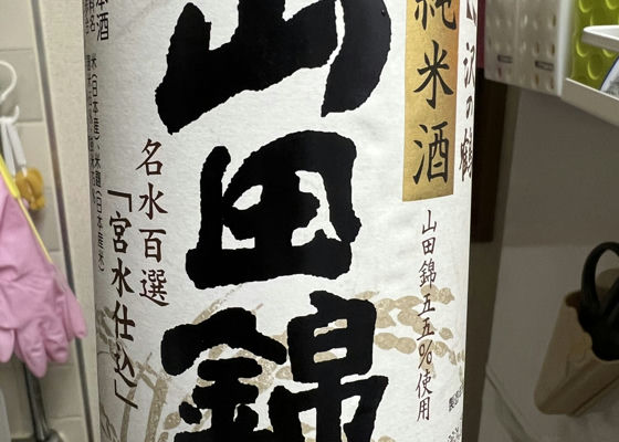 alt 1