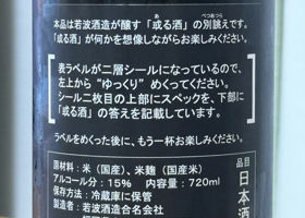 alt 2