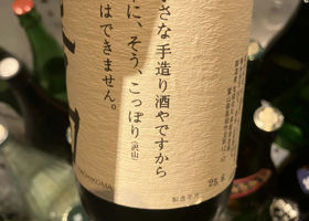 alt 3