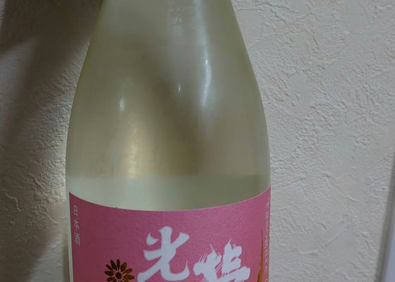 光栄菊