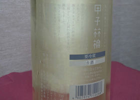 alt 1