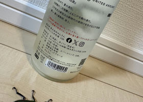 alt 2