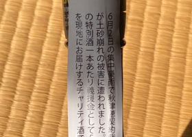 alt 3
