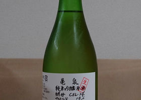 alt 1