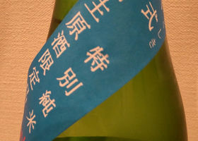 alt 3