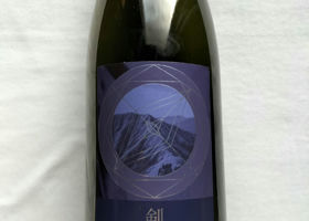alt 1