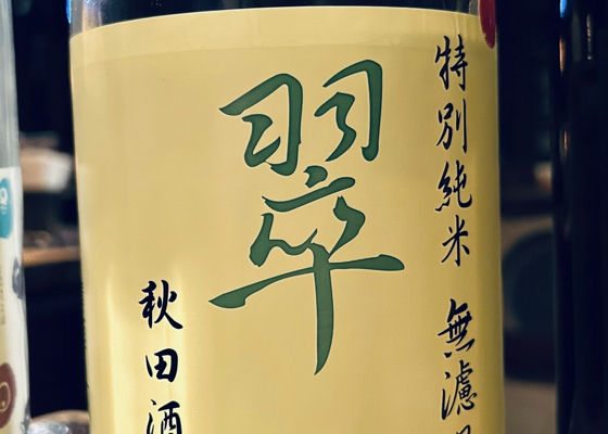 alt 1