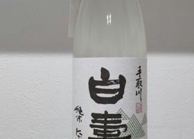 alt 1