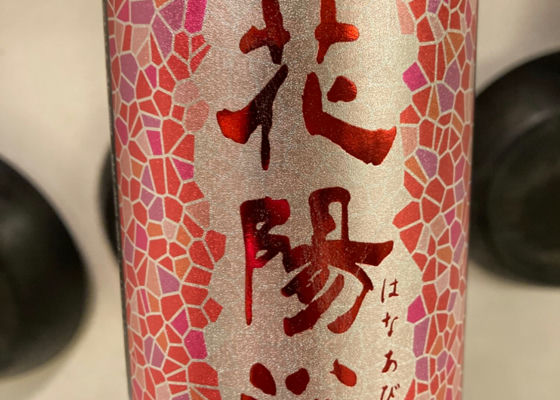 alt 1