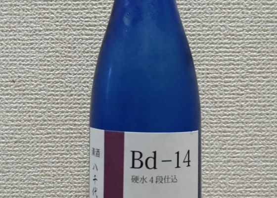 alt 1