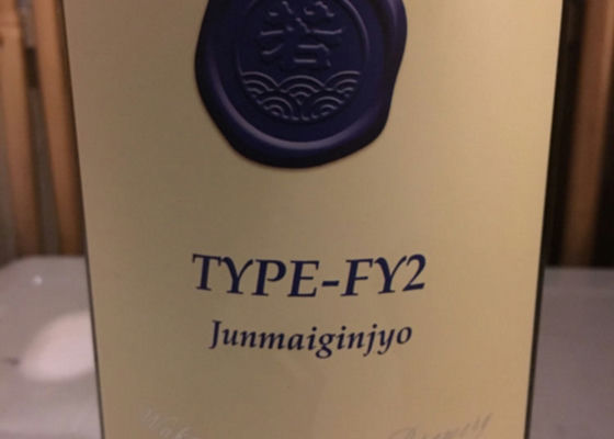 Type-FY2 チェックイン 1