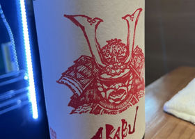 alt 1