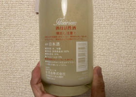 alt 3
