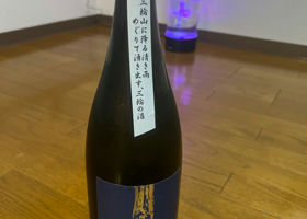 alt 1