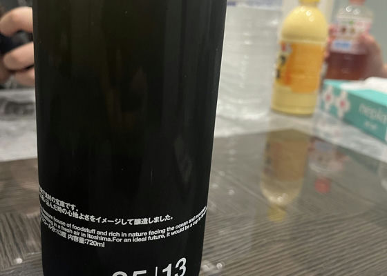 alt 1