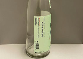 alt 3
