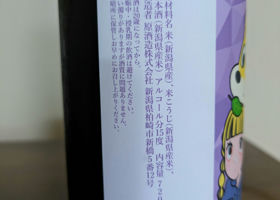 alt 3