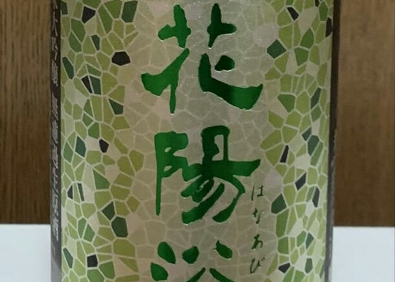 alt 1