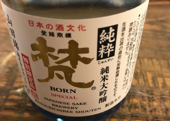 Born 签到 1