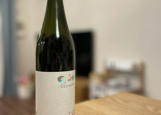 alt 1